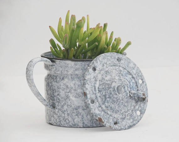 B_LeDilly's tweet photo. https://t.co/Hbb26eQJCD
Enamel jug milk pitcher, Graniteware enamelware, Grey enamel pot with lid, Succulent planter, French farmhouse https://t.co/rB7oyzqmlh