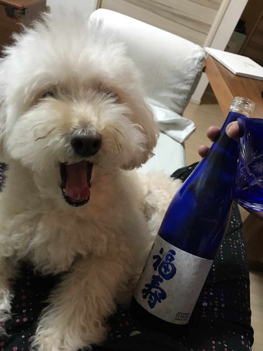 saR_w10's tweet image. 美味しいよぉ〜ワン！！