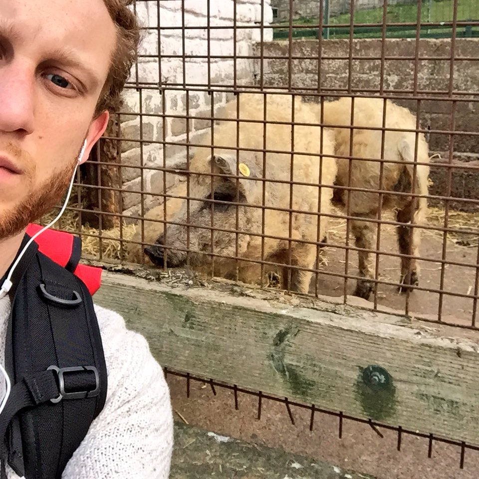 AleMancarella's tweet photo. Need to share my @GorgieCityFarm selfie after the great story from @Kirsty_CSk! #digiscot https://t.co/qlmAJ4df8z