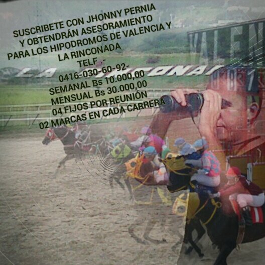 DIRECTORIOO's tweet photo. #hipismo ESCUCHA EN EL MOVIL CELULAR VIER SAB DOM A LAS 11:30AM CONDORMANIARADIO CLIC AQUI  https://t.co/iwqFKmis2F https://t.co/H2b2ZVxGQW