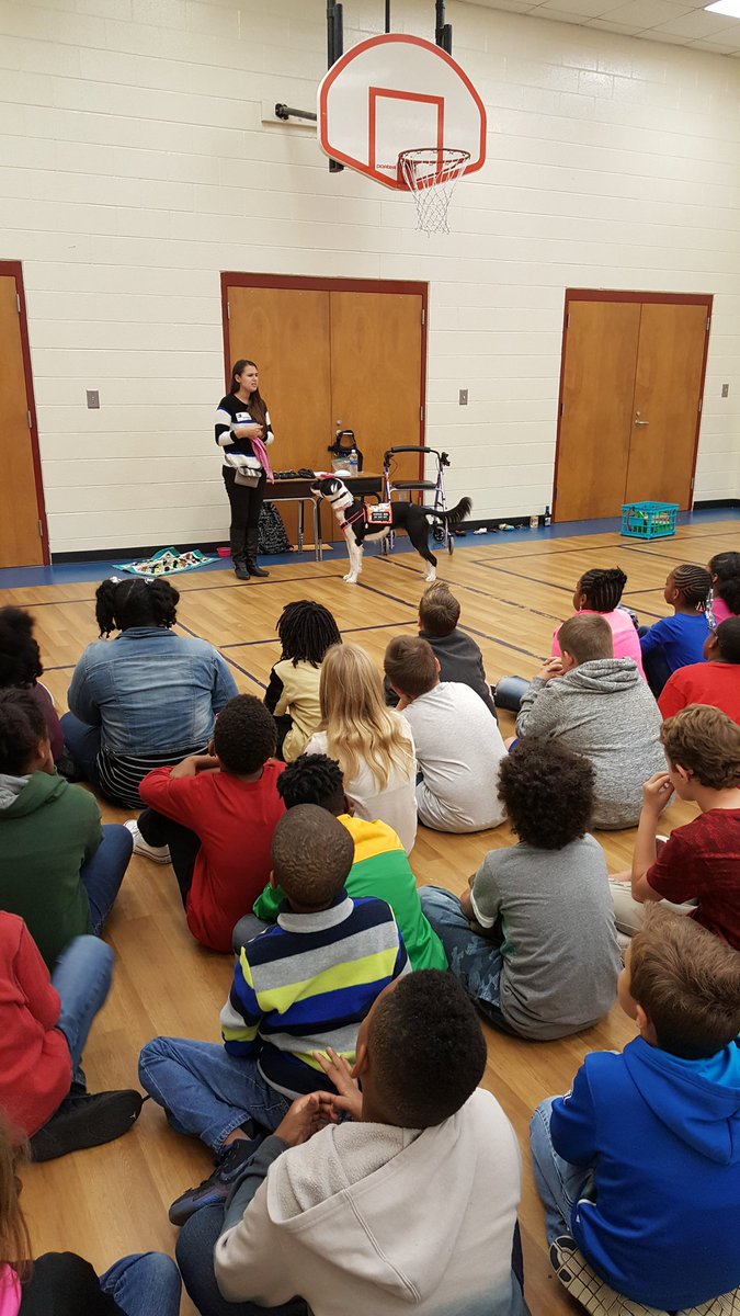 MrsMRYoung's tweet photo. Our first stop of Understanding Others Day is learning about service dogs. @PontiacElem @RichlandTwo #inspiretolead https://t.co/6RG8m7nhob