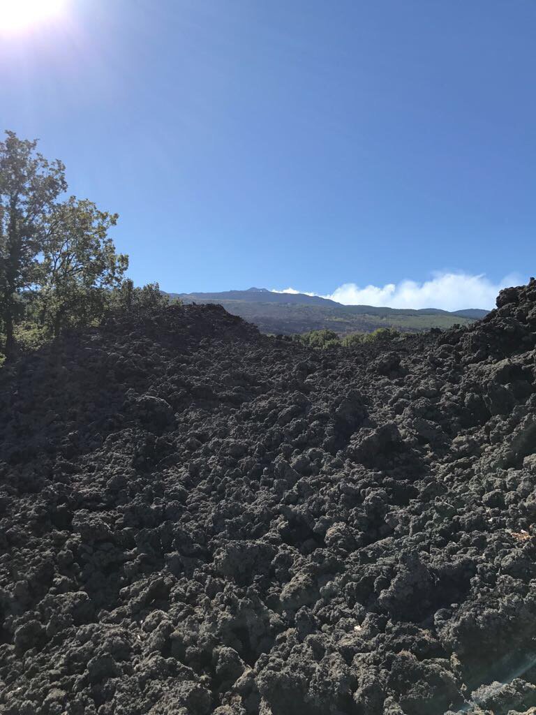 Our October #Etna #terrazzamenti #terrazzedelletna #terra #lava #natura #nature #picoftheday #octobre #ottobre #nature #bestmoment