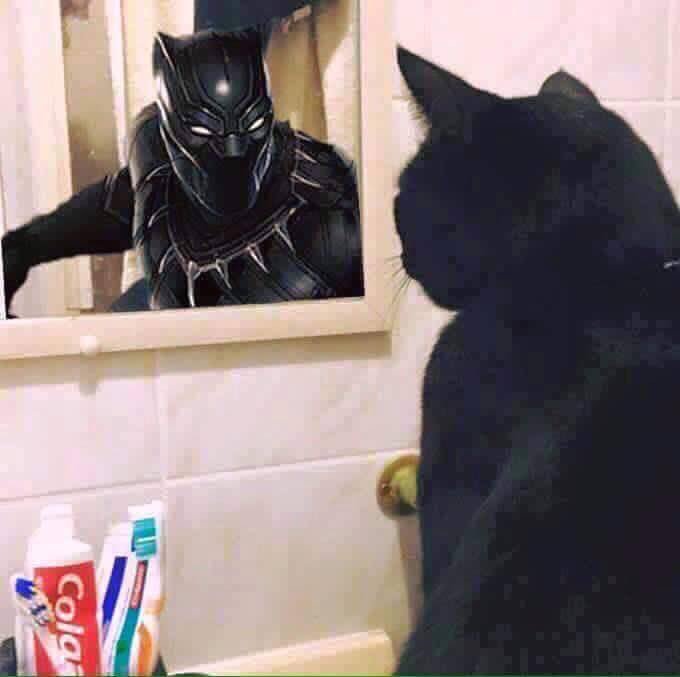 BenMcCool's tweet photo. Believe in yourself. https://t.co/yTDzED6OoR