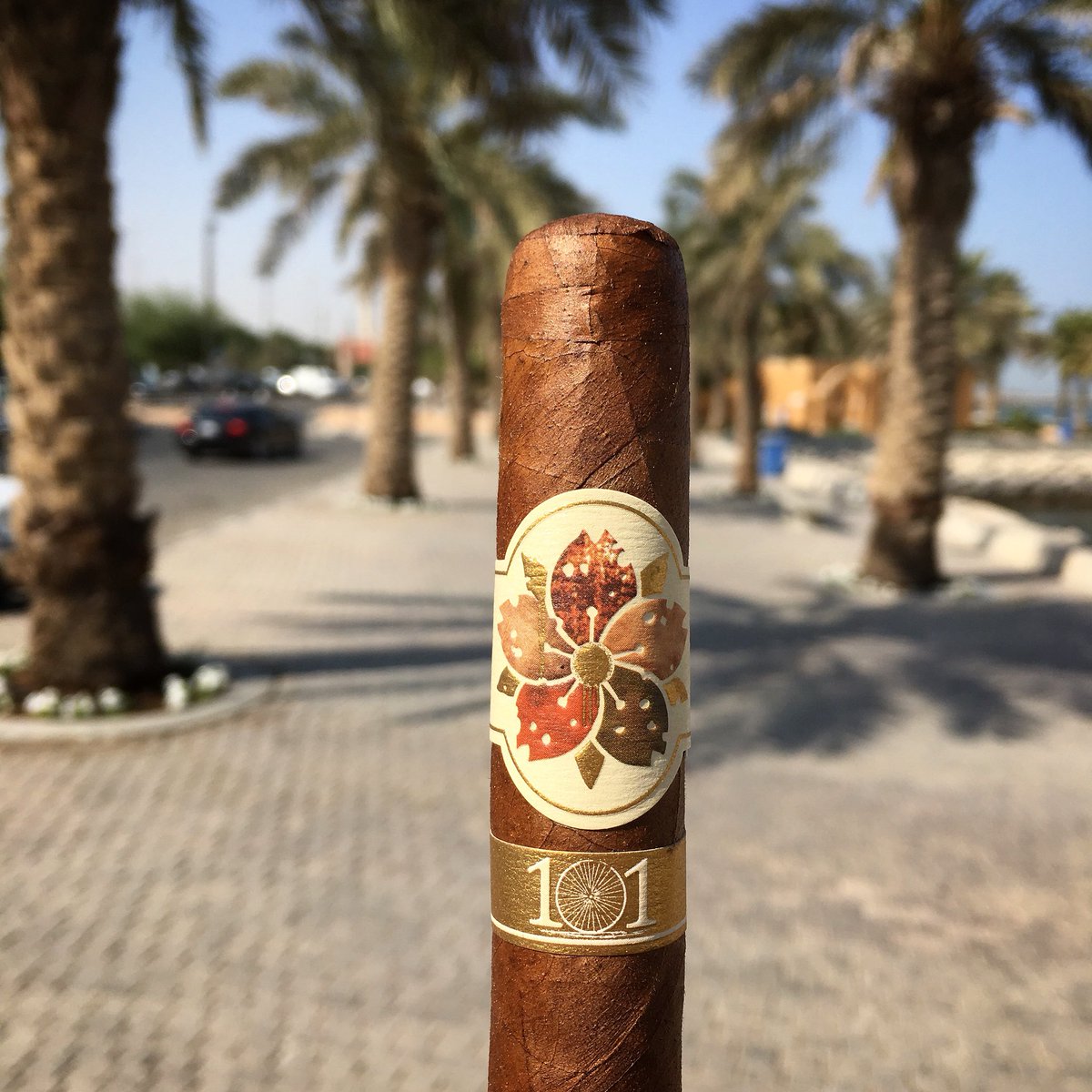 cigarnoise's tweet image. Lovely day 👌