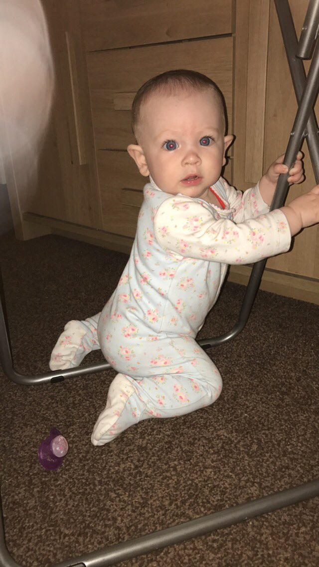 RosieEden1991's tweet photo. Need eyes in the back of my bloody head ๐ #babymaisie #growingtoofast #climbing #pullingherselfup #alwaysuptomischief https://t.co/97FEAnC6fF