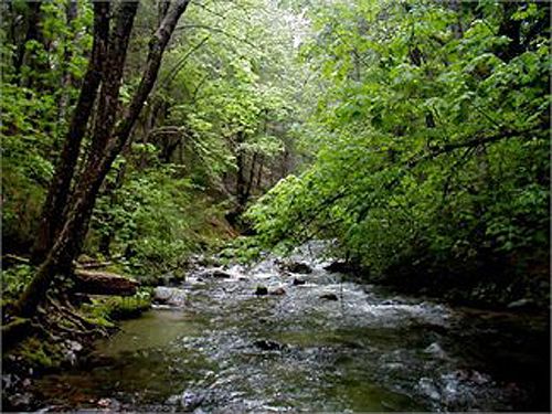 AmericanBranded's tweet photo. 12 Things You NEED To Go Off Grid NOW! - Off Grid World https://t.co/pDfCEbrHig https://t.co/6sAzDCcu0q