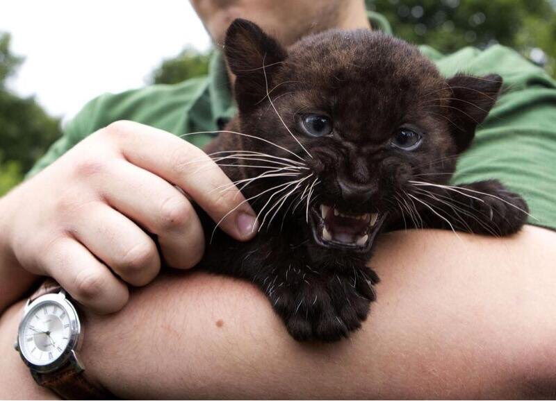 Doc Hall tweet media