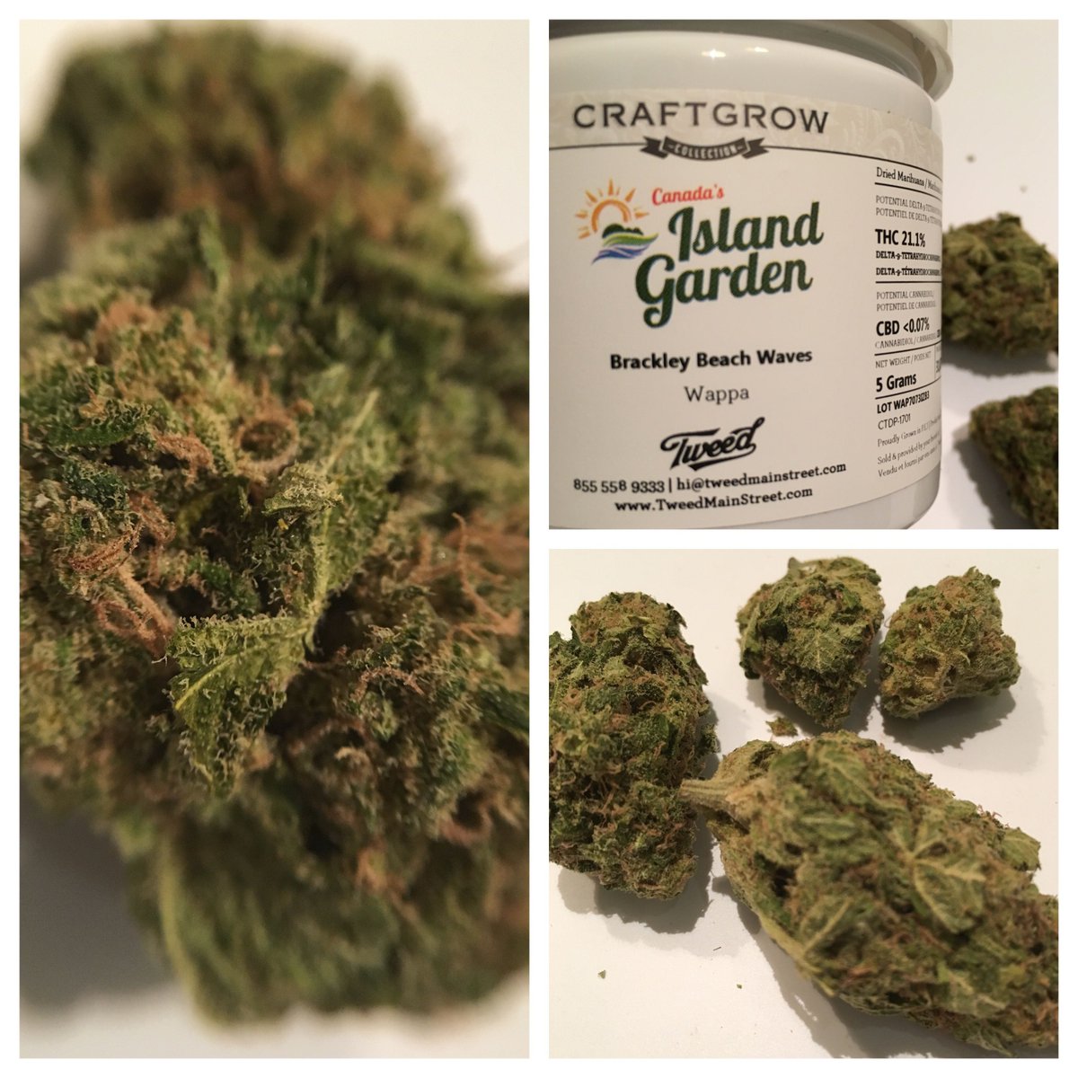 Read the top 3 medical cannabis strain reviews of the week news.lift.co/acmpr-medical-… submit a review for a chance to be featured!
