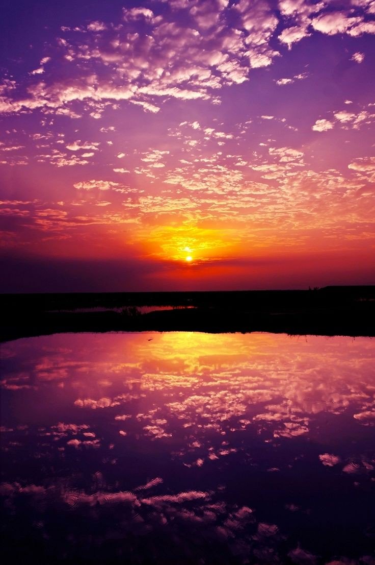 LucaRossi369's tweet image. Accettereste di riavvolgere il nastro della vostra vita all'inizio?