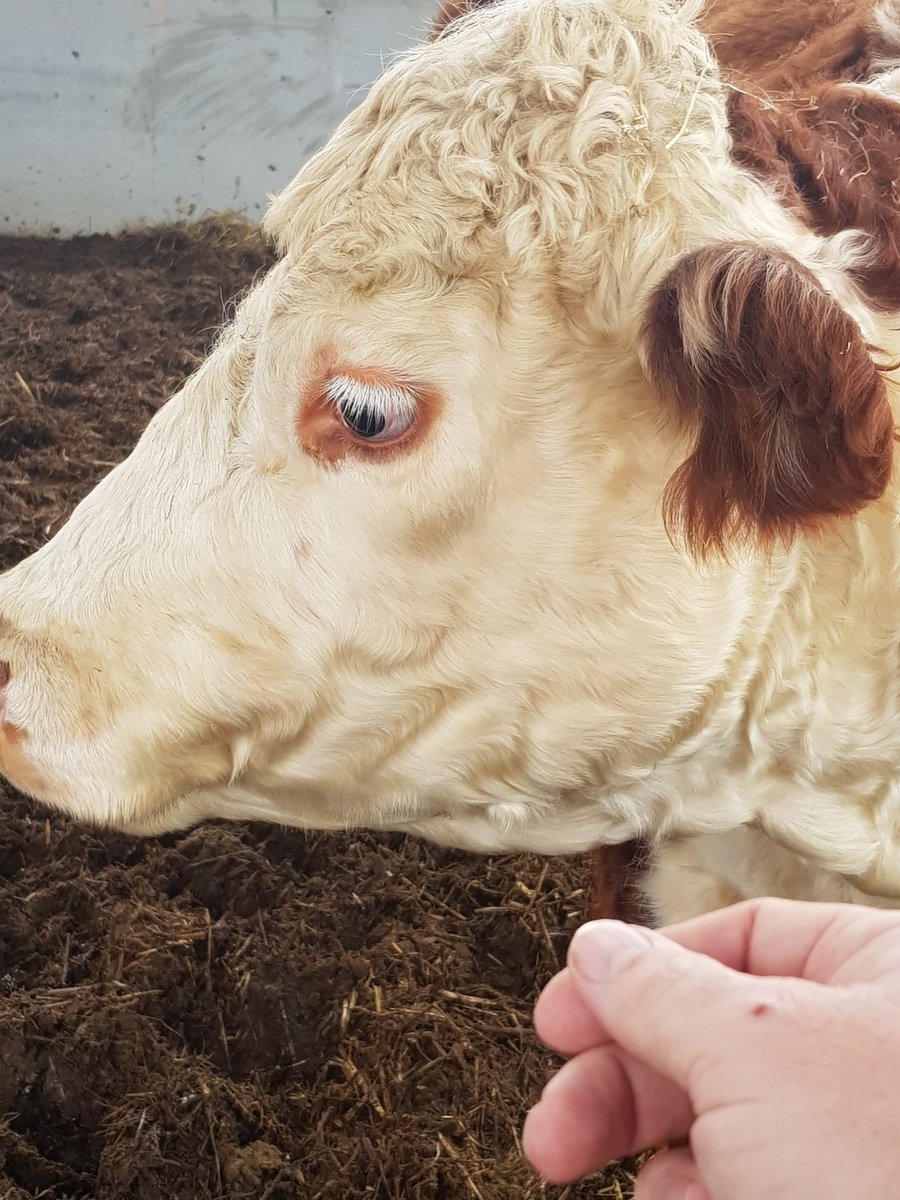 I meet all walks of life on my site inspections. #LABC #SRBC