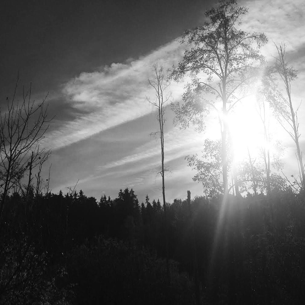 narrowskies's tweet photo. “Daylight is fading... ‘til only a memory remains...”
•
#amemoryremains #narrowskies #thefade #autumnEP https://t.co/m2R9p9x8Kz