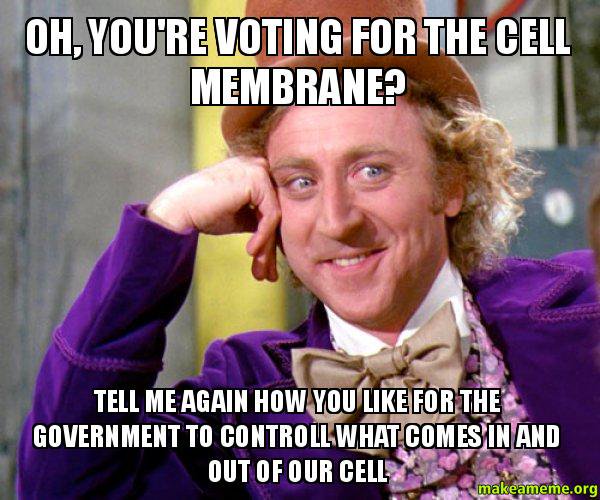 Out_of_CyT's tweet photo. @finnabuildawall  @ms_westfall  #Organellewars 💪🏻 https://t.co/VTWTbqFAXt