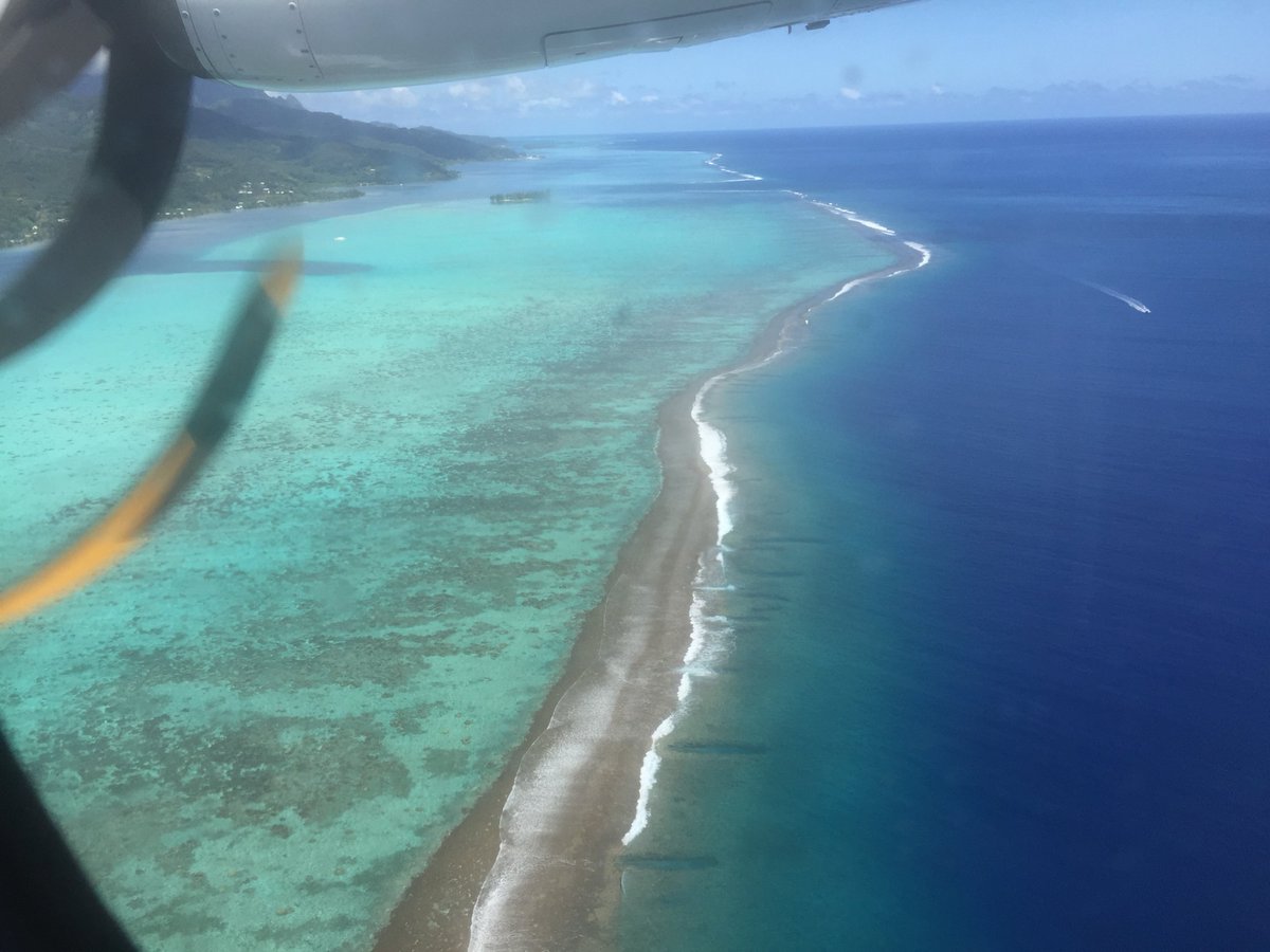 Aobora's tweet photo. Embarquement imminent pour la #Polynésie ! 
 Les derniers passagers sont invités à se présenter
 Décollage ce soir à 19h, salons 8 ème sens https://t.co/Wj37Zx60Xs