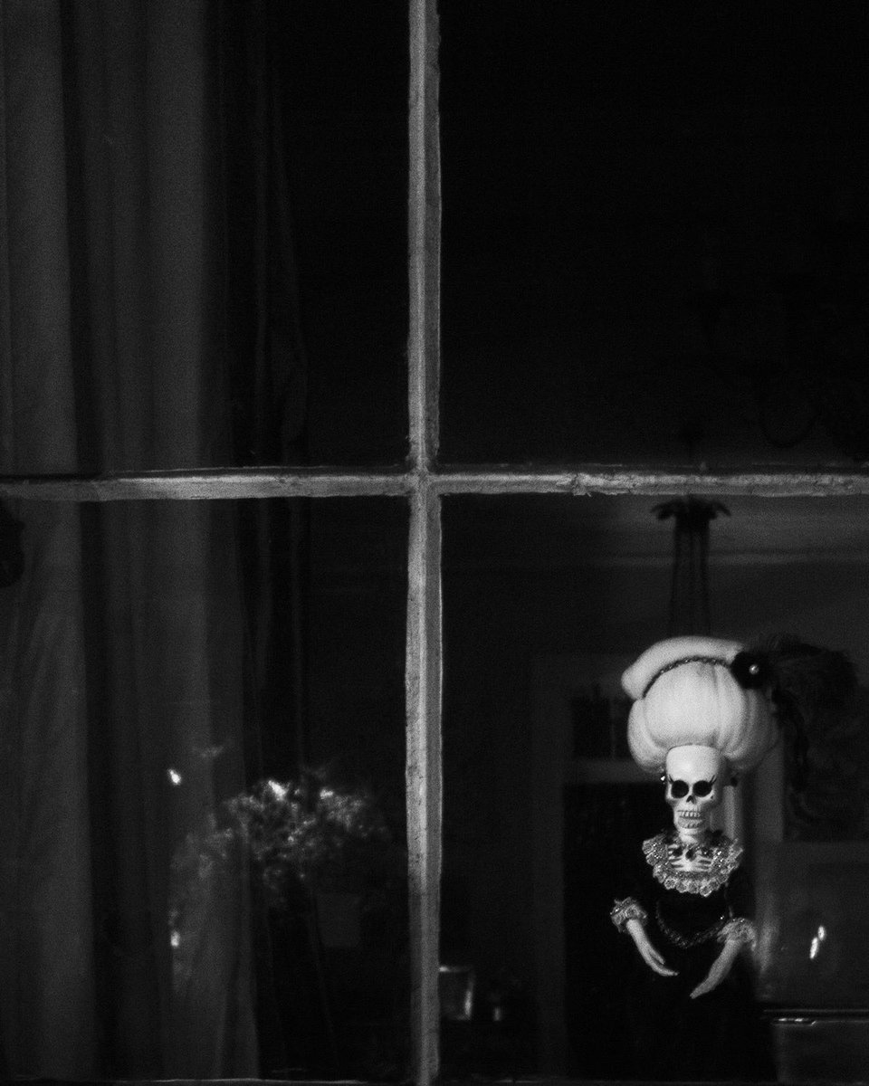 glfdv's tweet photo. Missing #Halloween #NewOrleans Style? Book your tours today! Photograph by Christopher Bryson. #GeauxNative https://t.co/n9gPnRvwPB