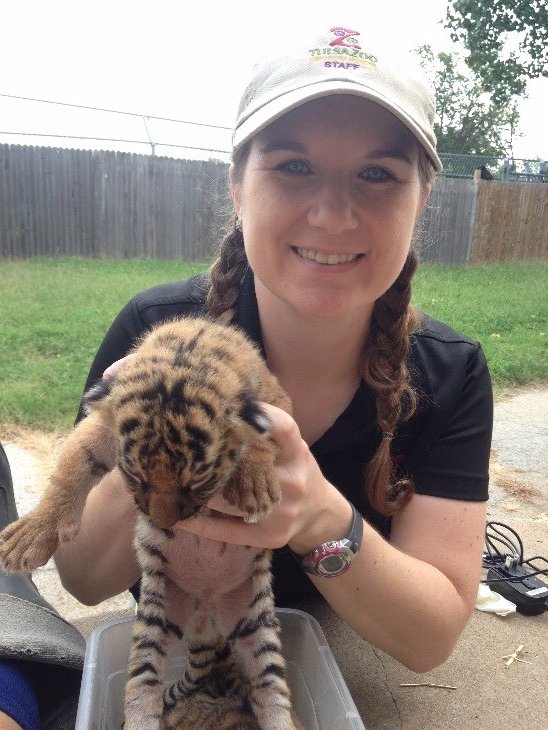 TulsaZoo's tweet photo. Sometimes our job is cute and cuddly -- like during newborn exams &amp; when hand-rearing furry, feathered or scaled babies! #VetTechTakeover https://t.co/cCF5sC32sm