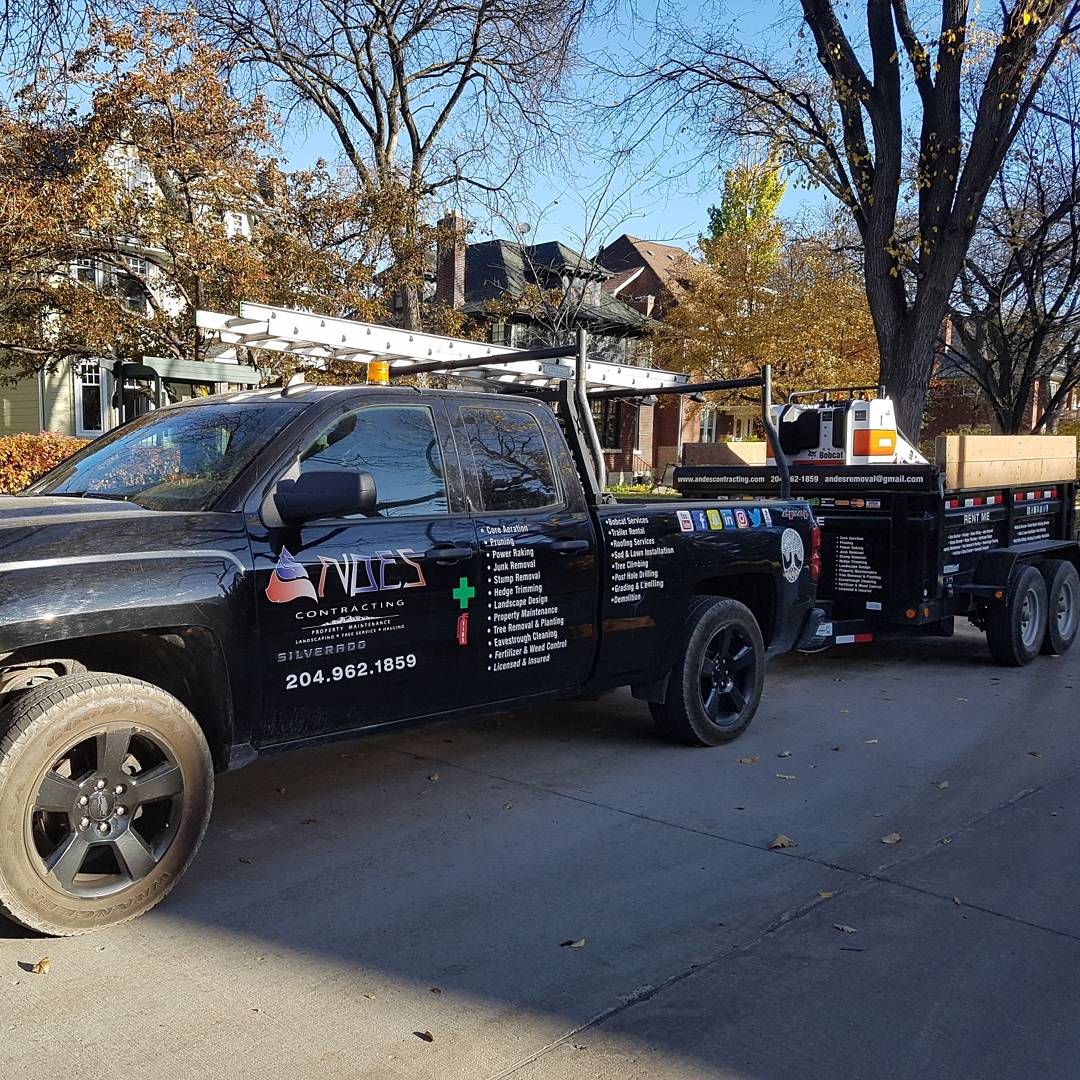 andesremoval's tweet photo. 🥁Our very own Bobcat MT85
Andes Contracting is now offering Bobcat services at an affordable price. #bobcat #bobcatservice #mt85 https://t.co/KYwUfLcTyY