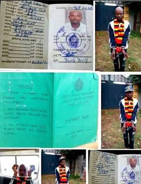 View image on Twitter