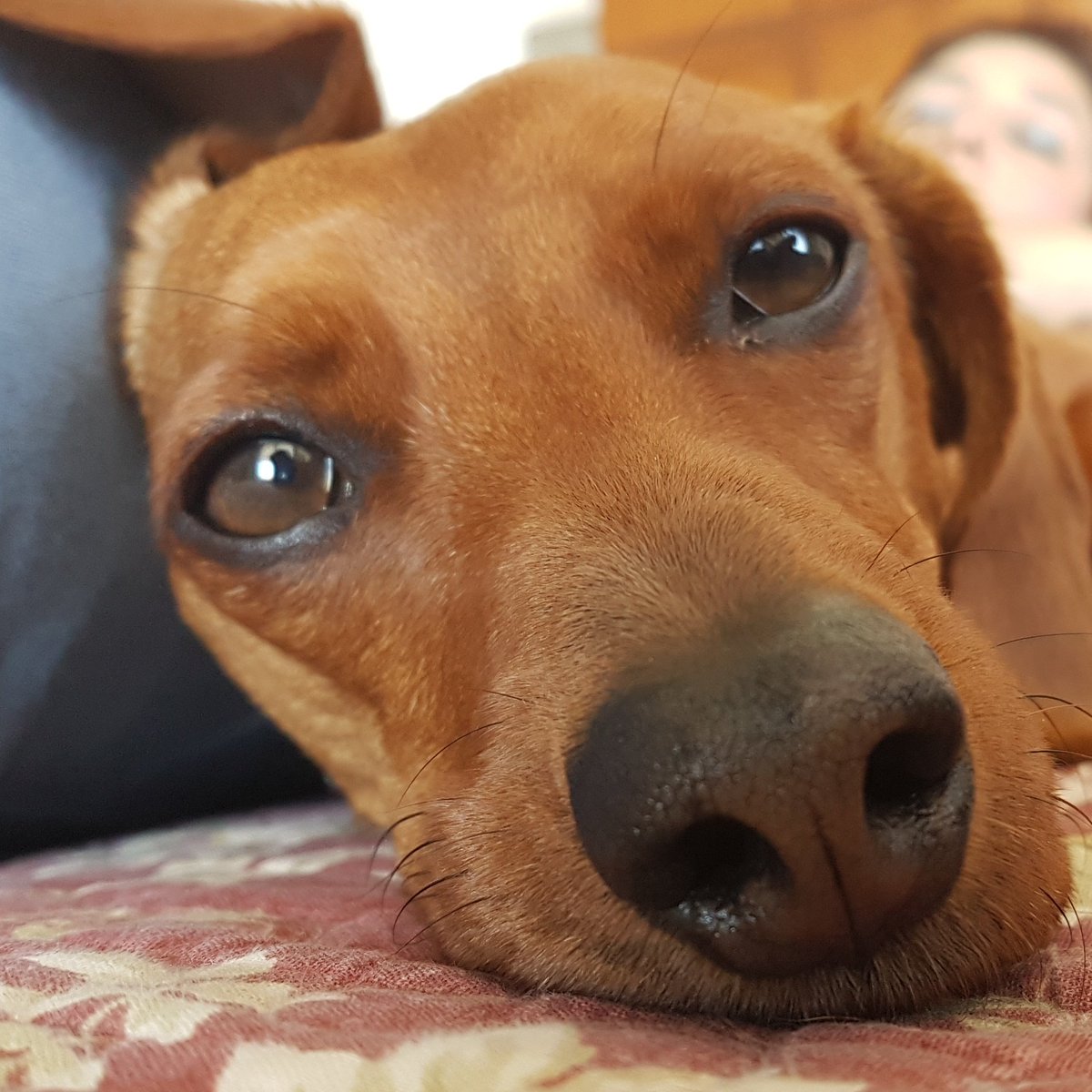 Cansado?? Relájate ya es jueves...