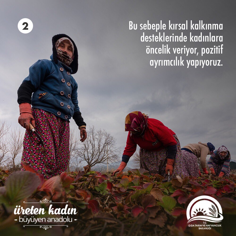 TCTarim's tweet photo. Bu sebeple kırsal kalkınma desteklerinde kadınlara öncelik veriyor, pozitif ayrımcılık yapıyoruz. https://t.co/hzbRJsYWhD