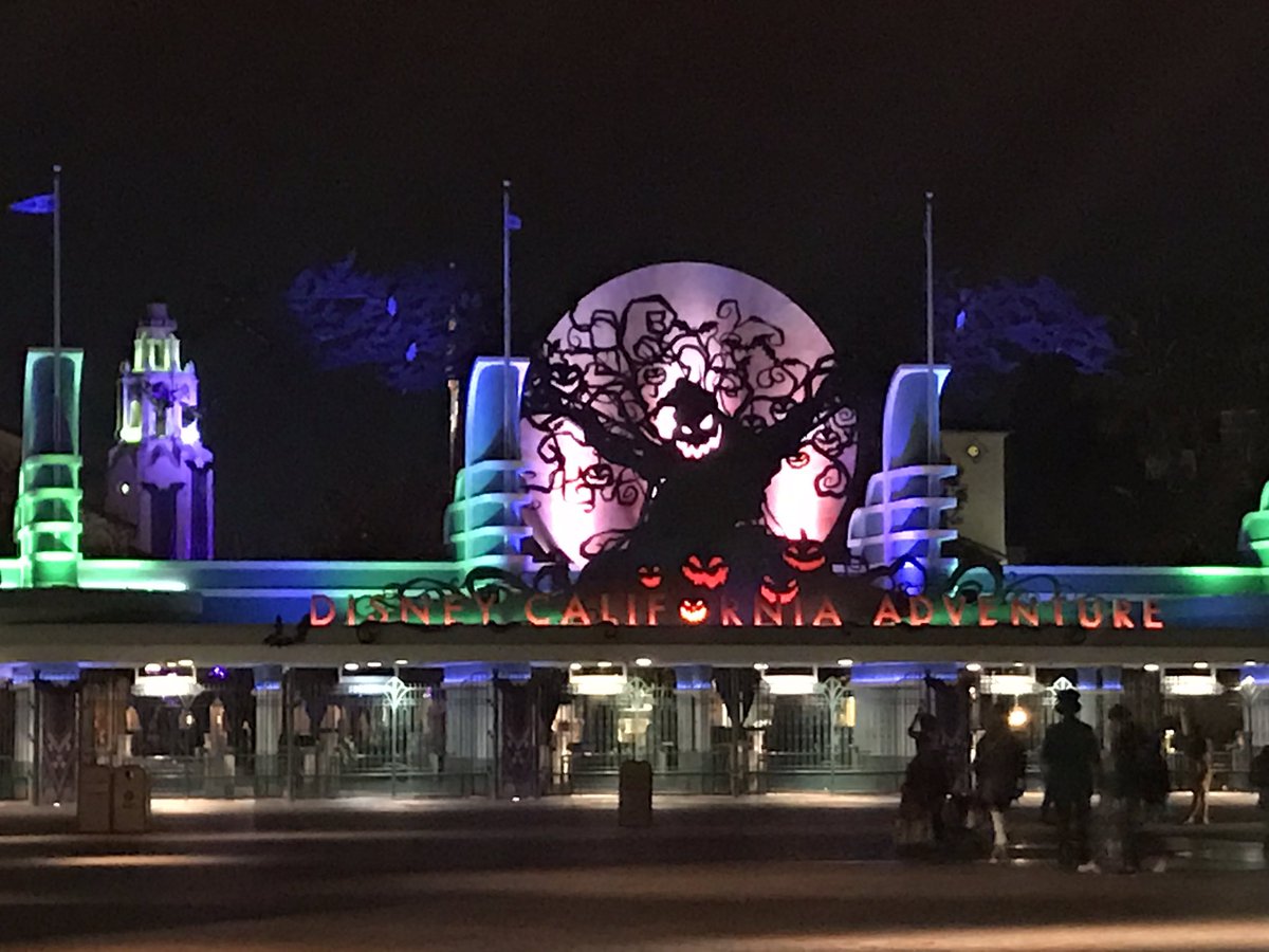 kellikeilholz's tweet photo. Cats, pumpkins, candy, ghosts oh my! Disney Halloween Nights. Oh yeah! https://t.co/cMmZZlgTpn