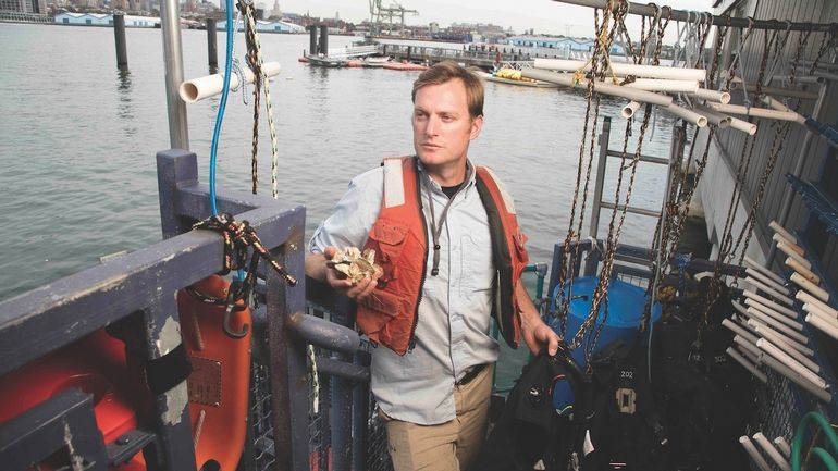 OurWaterfront's tweet image. "Filling NY Harbor with millions of oysters to fight pollution"

@CrainsNewYork @BillionOyster #OurWaterfront

Link: ow.ly/sFDU30fNYIF