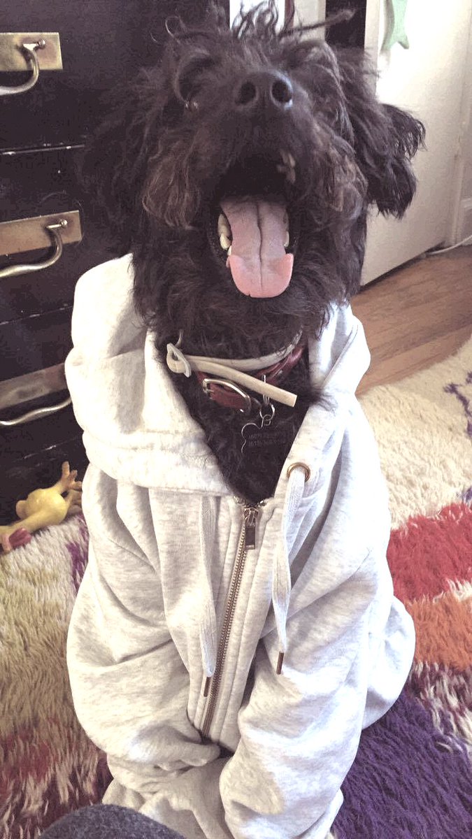 Brynn Szeles tweet media