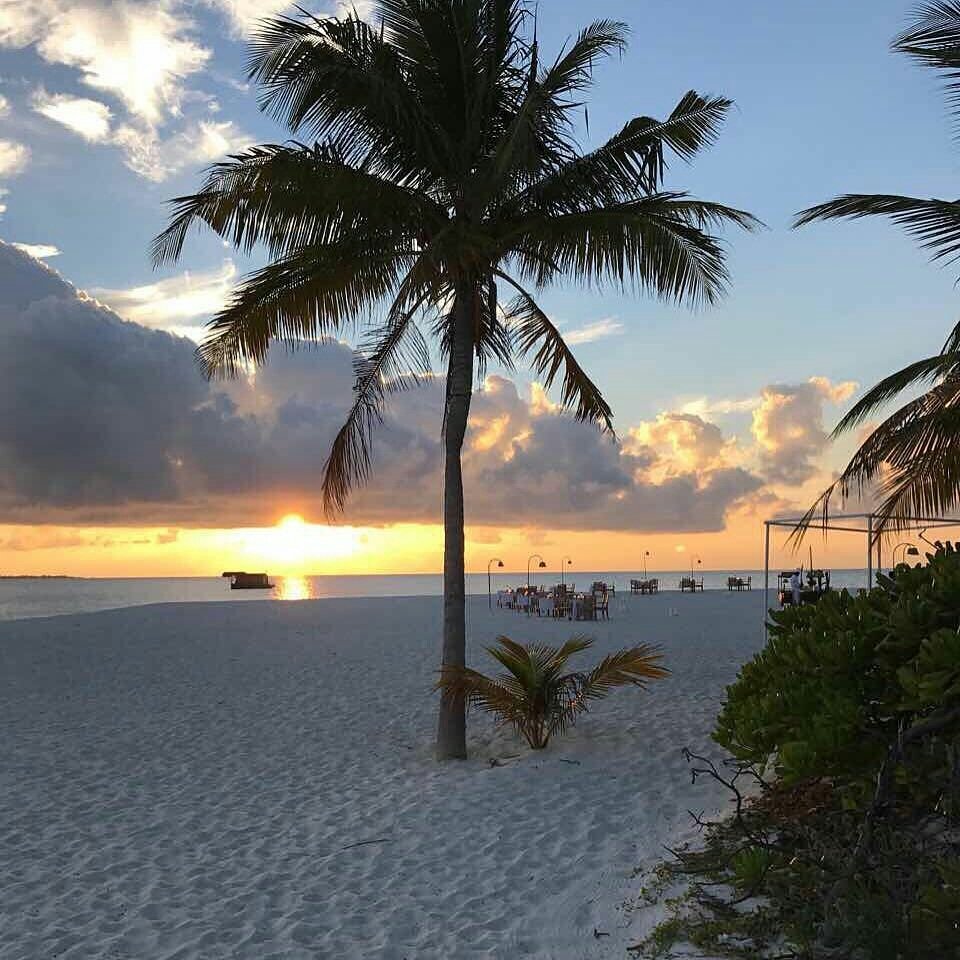 maldives tweet picture