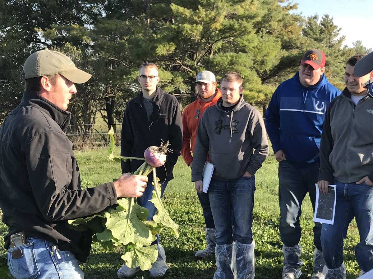 threeoakscattle's tweet photo. Tillage turnips provide great grazing forage and land renovation technique as well for ISU Beef Teaching Farm. https://t.co/7f79efyh5F