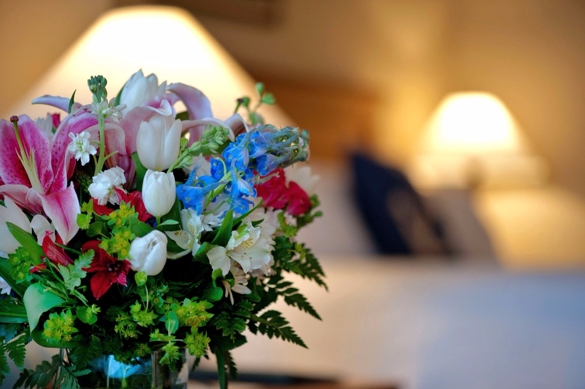 SteamboatInnMys's tweet photo. Grab the luxurious 'Victoria' this weekend! Boasting a King bed, River view and cozy fireplace!  #bookit #onthewater #visitct #historicdowntown #roomwithaview https://t.co/s67EQMSNLO