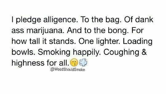 bakingat420's tweet photo. Stoner Pledge of Allegiance 🤚🇺🇸
.
.
.
#Marijuana #Cannabis #Weed #Stoner #CannabisCommunity #HighHumor #HighLife #… https://t.co/uCkiy5gmck https://t.co/LkUi3v86zl