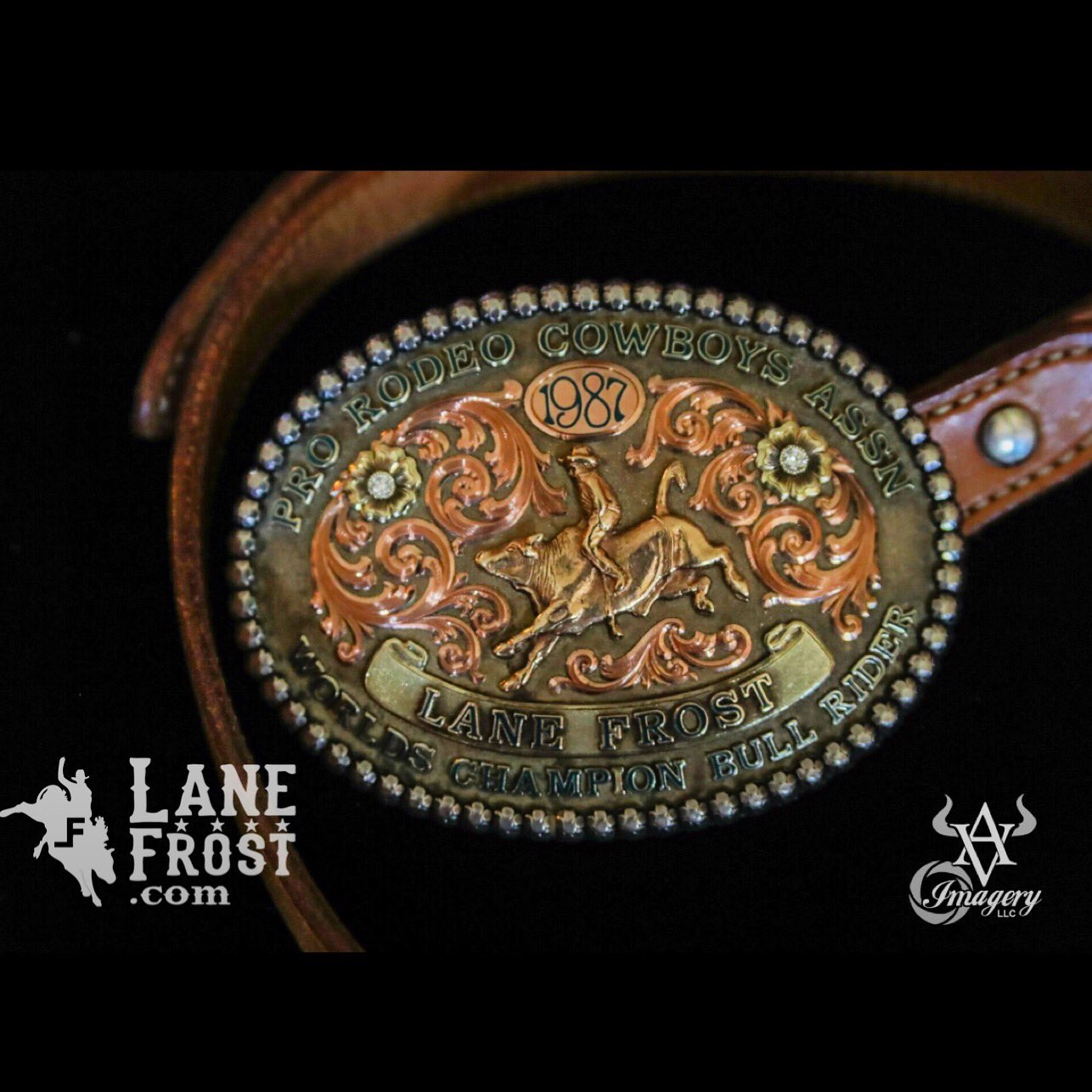Prca buckles cheap