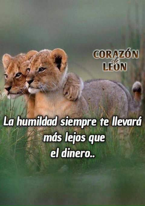 Ji120Jose's tweet photo. Con la ayuda de Dios.....!! https://t.co/gnNKX4uCE5