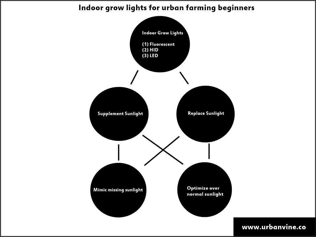 basil_grower's tweet photo. All the basics you need to know about #growlights for #urbanfarming: 

> https://t.co/aPAlEN8sJs https://t.co/vl4QA8oukL