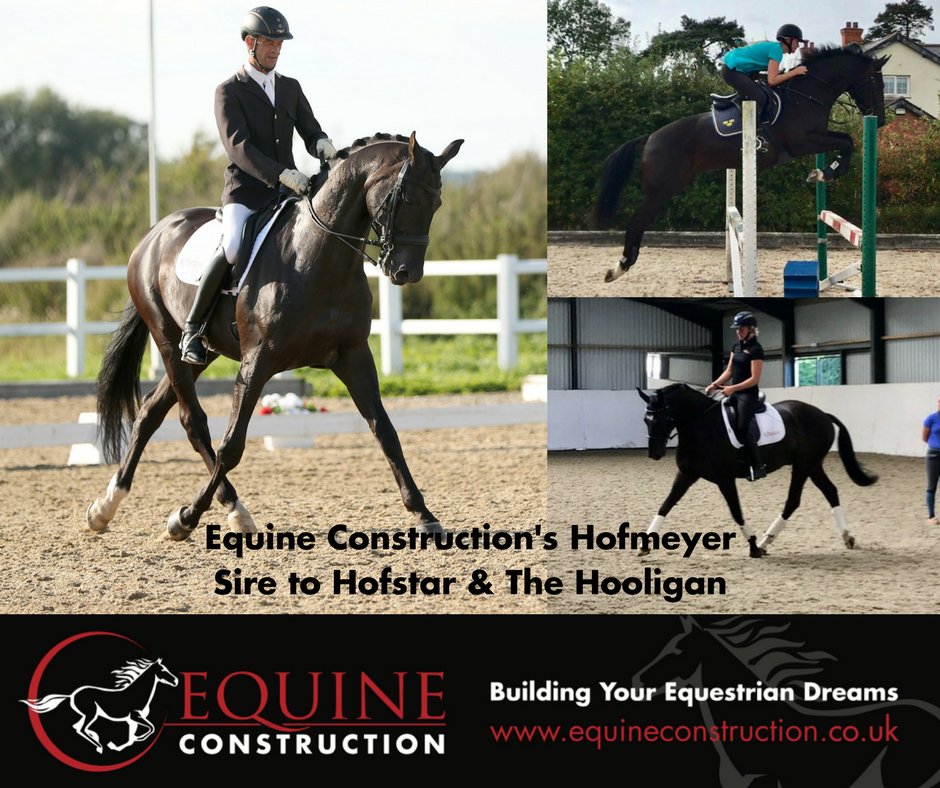 Equine Construction tweet media