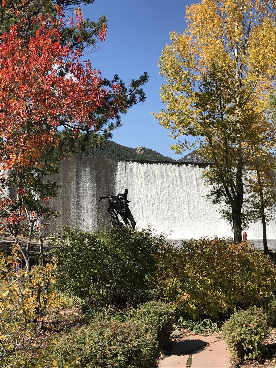 Wild Acoustic tweet media