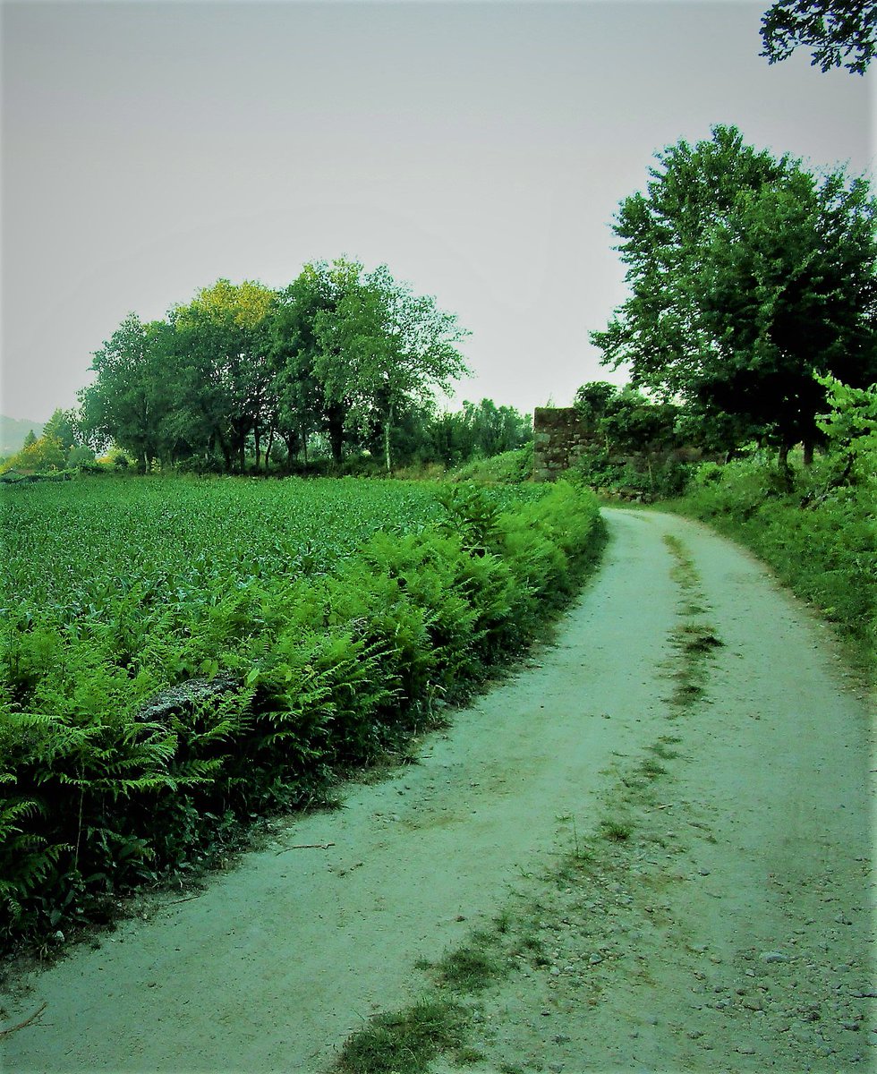 FedesMood's tweet photo. Storia 24
Verso Valença do Minho
#caminodesantiago #Portugal #theway #landscape #hiking #patway #nature #explore #adventure #pilgrimage https://t.co/XnDXCzF5nN