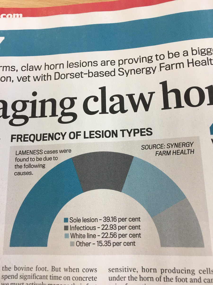 NACFTUK's tweet photo. @SynergyFarmVets great article in @FarmersGuardian with great advice for #nomorelamecows #teamdairy #cowsfeet #sharebestpractice https://t.co/bvgZjM0Ple