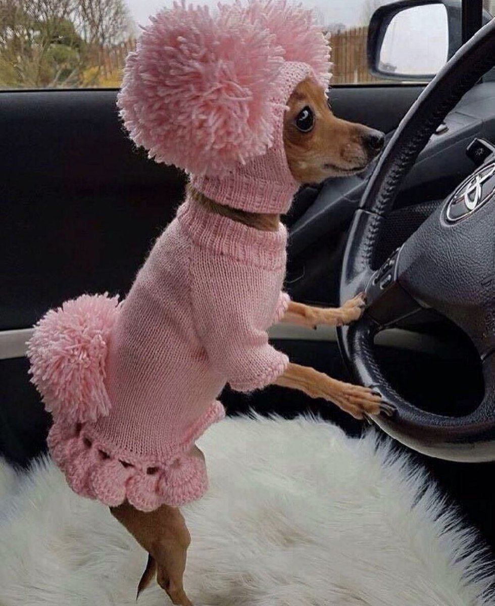 abrunalouise's tweet photo. Quando o look do dia foi feito pela sua vó https://t.co/d4G3bknzii