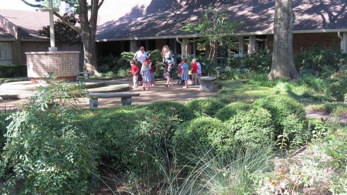 hsessaints's tweet photo. Sparking curiosity through nature 🦋🍃by exploring outside the classroom so curious learners can apply new skills #WeLoveHSES #HSESInspired https://t.co/2Glcwejajn