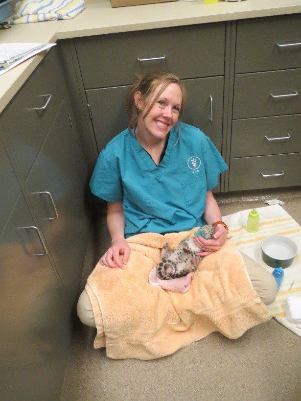 TulsaZoo's tweet photo. Sometimes our job is cute and cuddly -- like during newborn exams &amp; when hand-rearing furry, feathered or scaled babies! #VetTechTakeover https://t.co/Aj5VYEJRgm