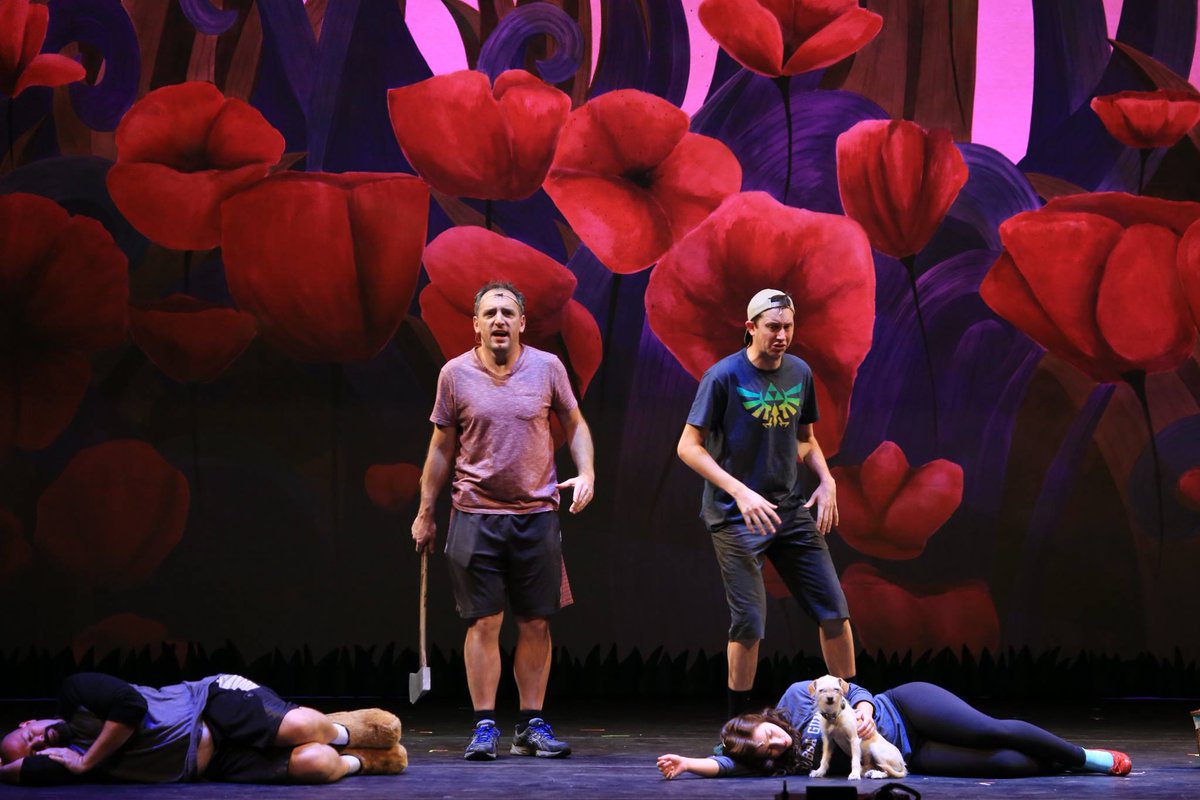 Wizard of Oz Tour (@WizardofOzTour) / Posts / X