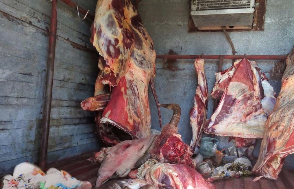 El Diario de Coahuila tweet media