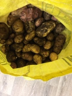 mayloganonward's tweet photo. 30lb of potatoes grown in our very own allotments donated to the food bank. A great use of local resources to support local needs #maylogan https://t.co/zQgXON1Pkk