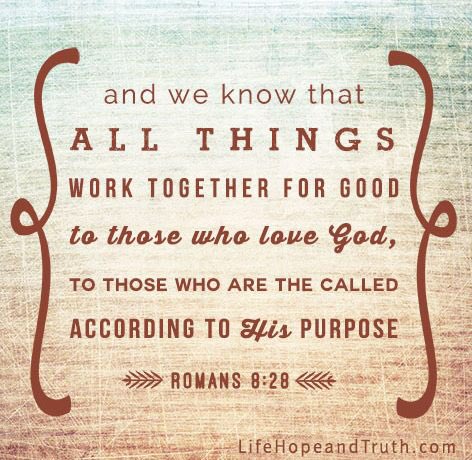 arnold_fca's tweet photo. Don’t forget FCA/FCS is today (&amp; every Thursday) in building 3 room 121 for both lunches :) we can’t wait to see you there! https://t.co/9Md48Cm55I