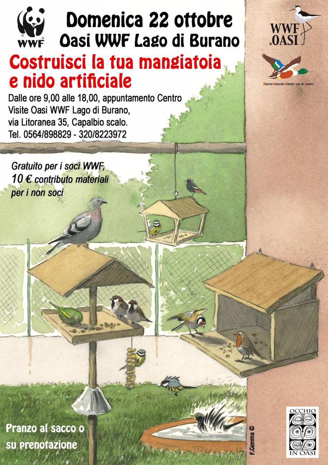 WWFOasi's tweet photo. Domenica 22ottobre appuntamento Oasi @WWFitalia  Lago di Burano per costruire mangiatoie e nidi artificiali. aiutiamo la #natura. #wwf https://t.co/Ew5galp9Hn
