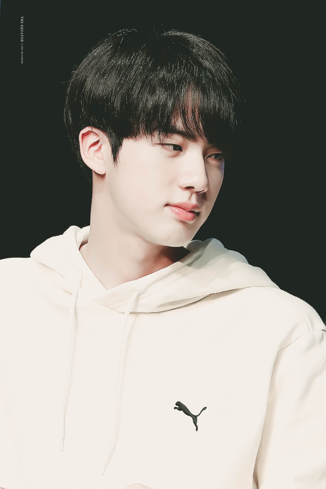 Puma clearance bts jin