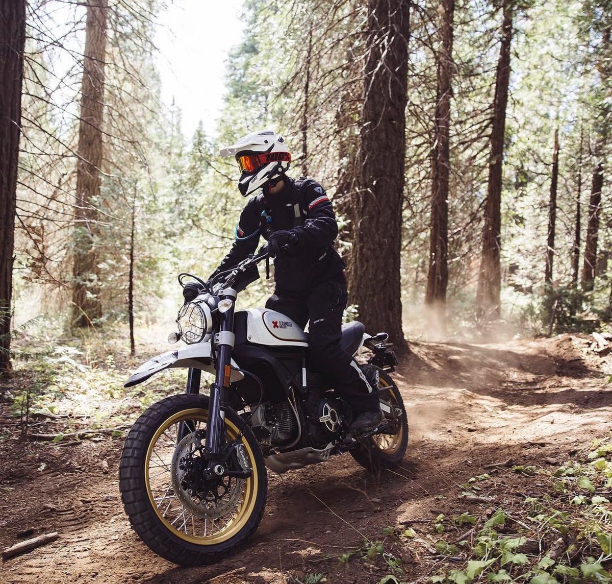 DucatiUSA's tweet photo. Amelia and the @scramblerducati Desert Sled in their element. Photo: @sgtoepfer #revitwomensteam #advrally https://t.co/qpYg0gpuMU