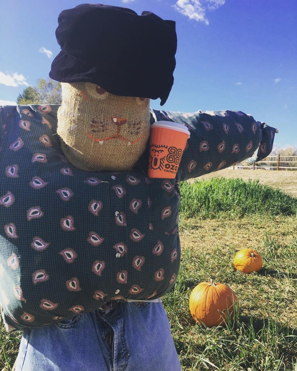 Getting into the spirit of fall with pumpkin spiced lattes and hot spiced apple cider at Ozo!