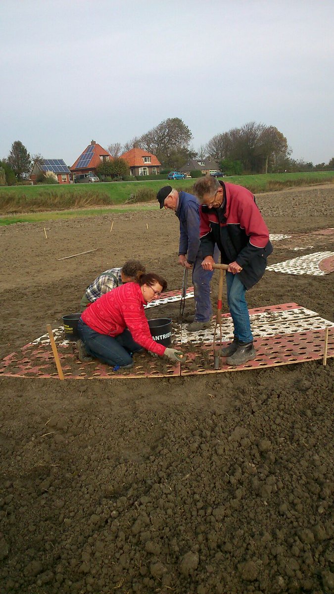Gewassenveld in wording. Boer Piet is tulpen aan t planten. Voor t resultaat komen jullie in 2018 naar t gewassenveld aan de Oudebildtdijk.