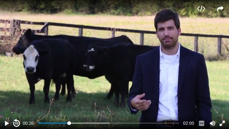 kywatchdog's tweet photo. WATCH: Can Bevin turn the 'sacred cows' of Kentucky's tax code into hamburger?
https://t.co/rKoeO2kJsX https://t.co/3OQ2gHITZn